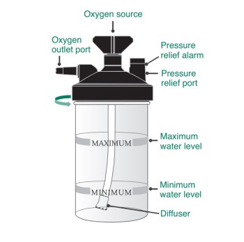 6 LPM Bubble Humidifier Bottle for Oxygen Concentrators - Salter Labs